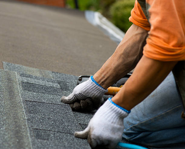 Quick and Trustworthy Emergency Roof Repair Services in Marysville, WA
