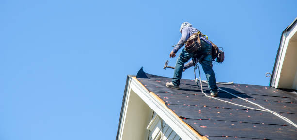 Best Roof Gutter Cleaning  in Marysville, WA
